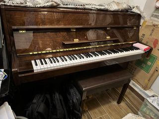（分類：）位於 。 由 gogowing888 提交（商品編號 1244415781，圖片 1）。簡介： 。