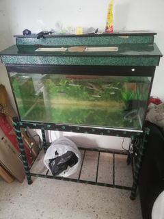 (Category: ) located in . Submitted by amat1988 (Listing ID 1244456874, Image 1). Description: .
