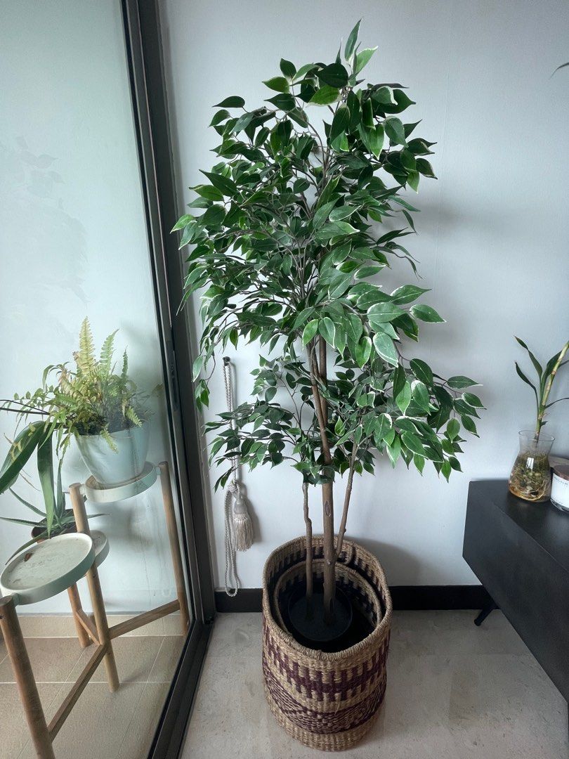 Artificial IKEA plant, Furniture & Home Living, Home Decor, Artificial