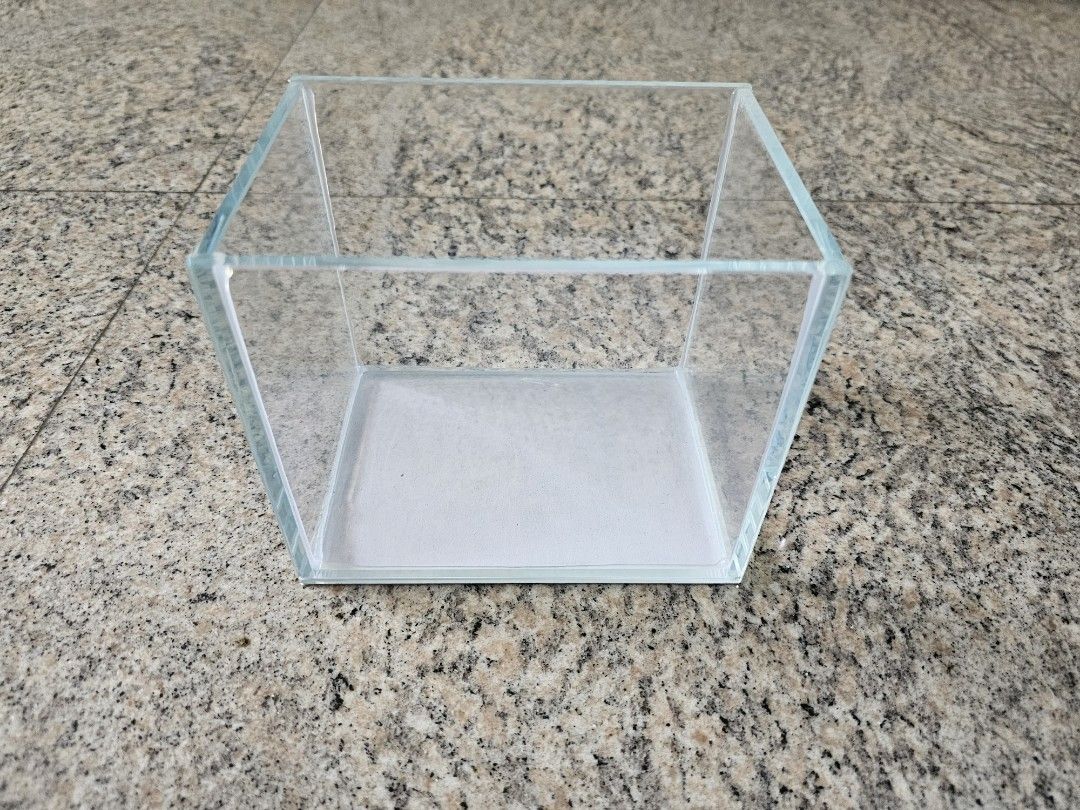 Crystal Glass Fish Tank, Pet Supplies, Homes & Other Pet Accessories on Carousell
