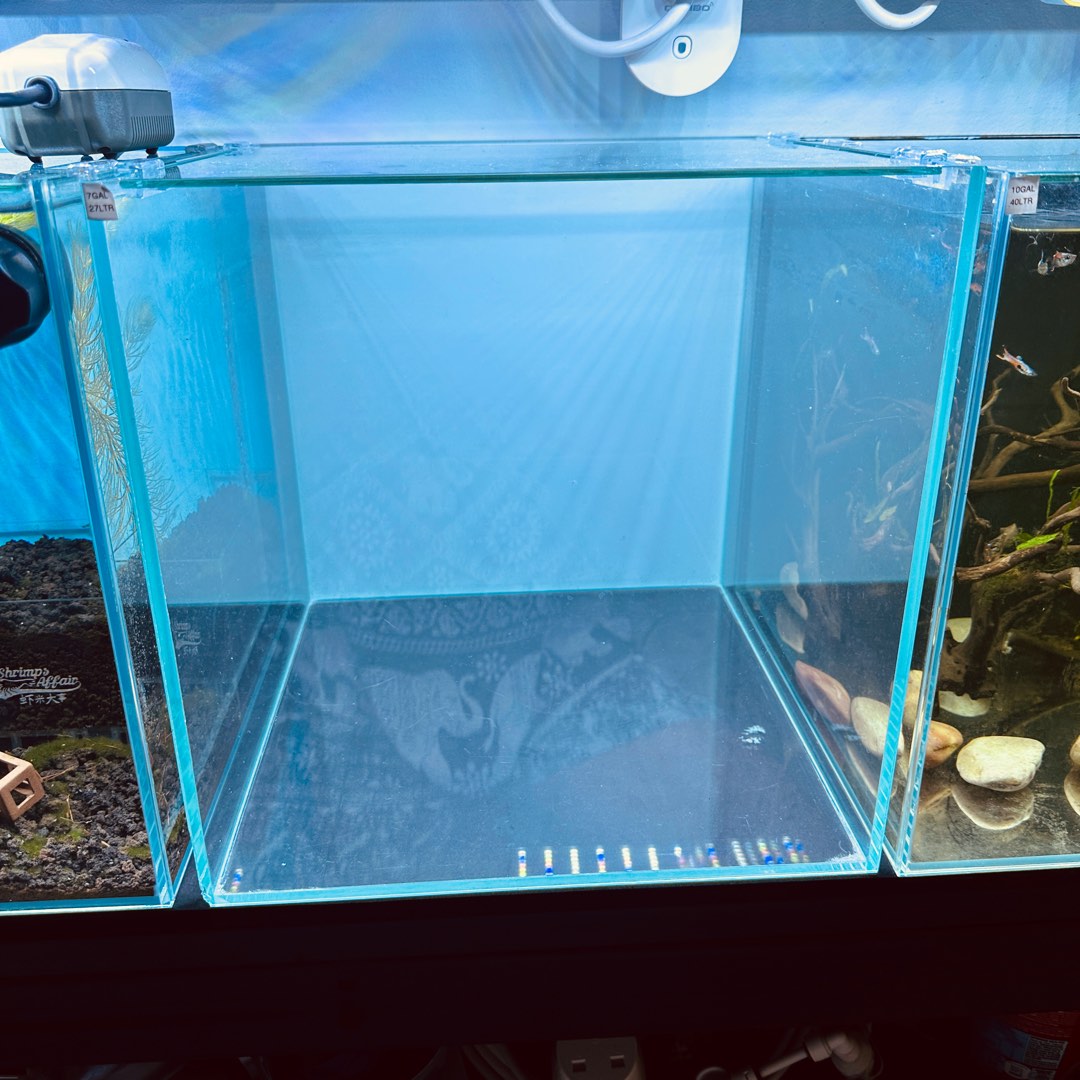 Crystal Glass Fish Tank 30CM Cube, Pet Supplies, Homes & Other Pet Accessories on Carousell
