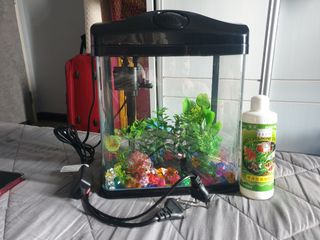 (Category: ) located in . Submitted by annemapa (Listing ID 1244486240, Image 1). Description: .