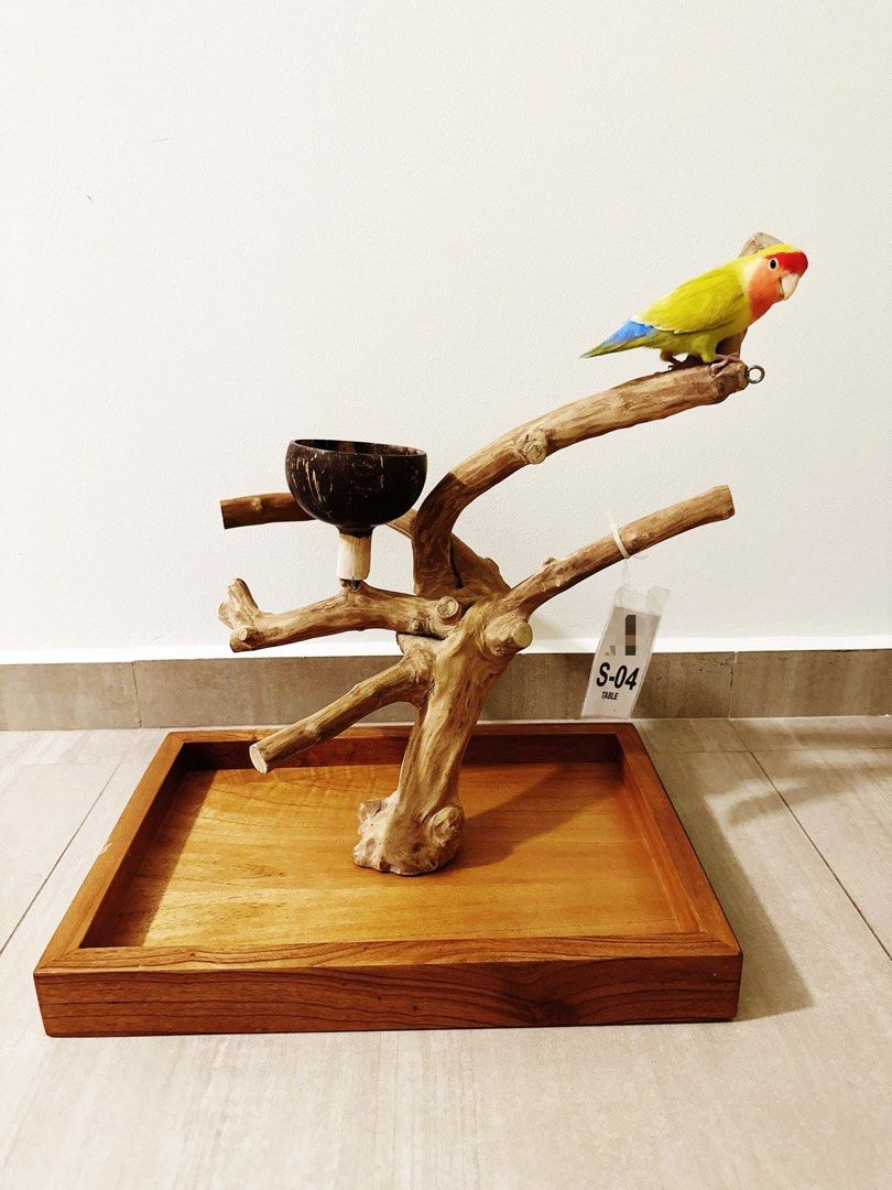 Bird stands sales for parrots