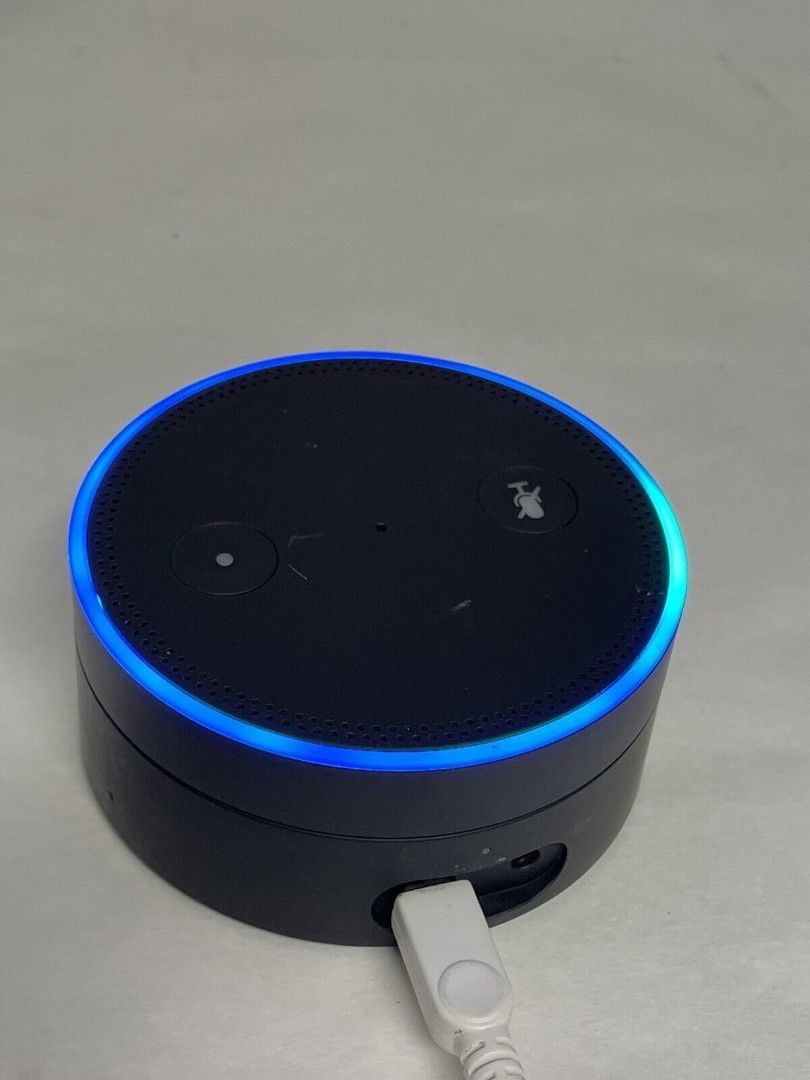 Amazon echo dot hotsell used