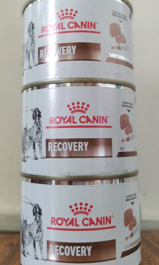 Royal Canib Recovery Wet on Carousell