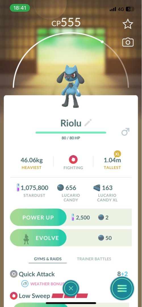 Shiny Riolu , Video Gaming, Gaming Accessories, In-Game Products on ...