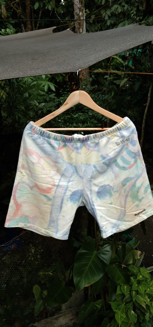 Supreme new arrivals landscape shorts