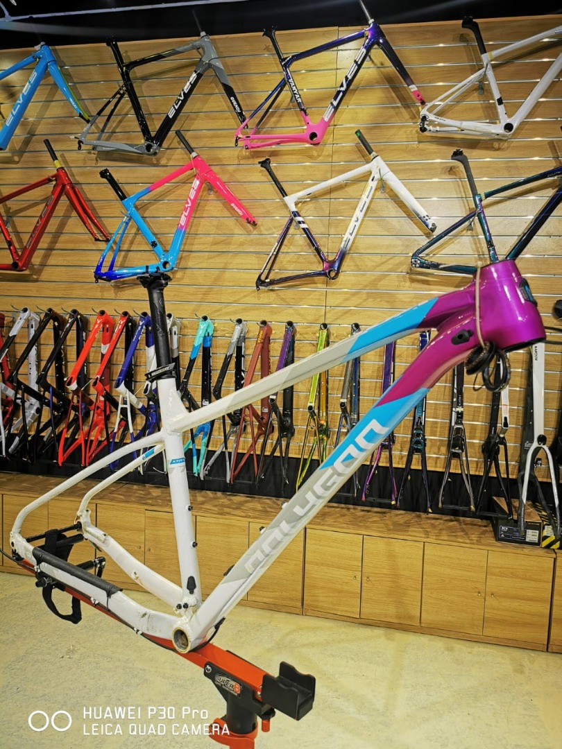 Polygon cheap mtb frame