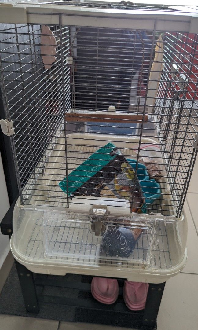 Vision Bird Cage M01, Pet Supplies, Homes & Other Pet Accessories on