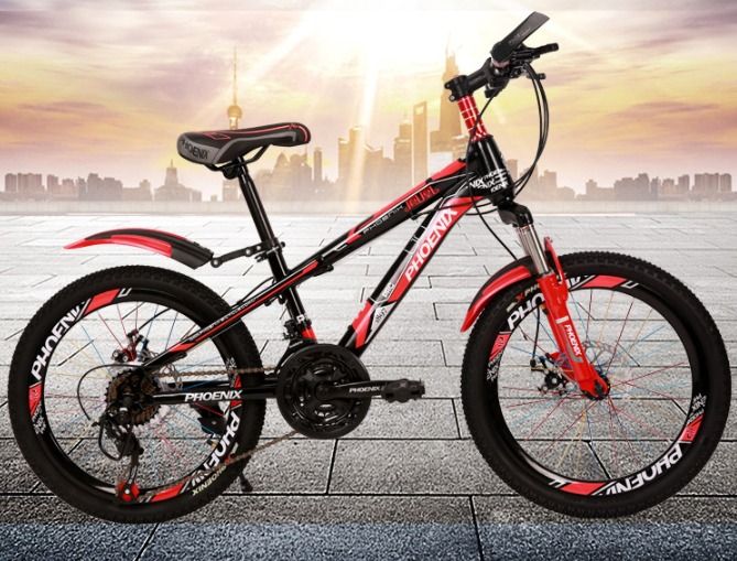 22 inch sale girls mountain bike