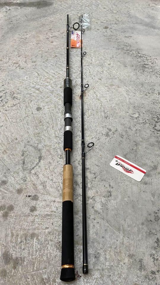 Asuka Maximpact X9 Spinning Rod, Sports Equipment, Fishing on