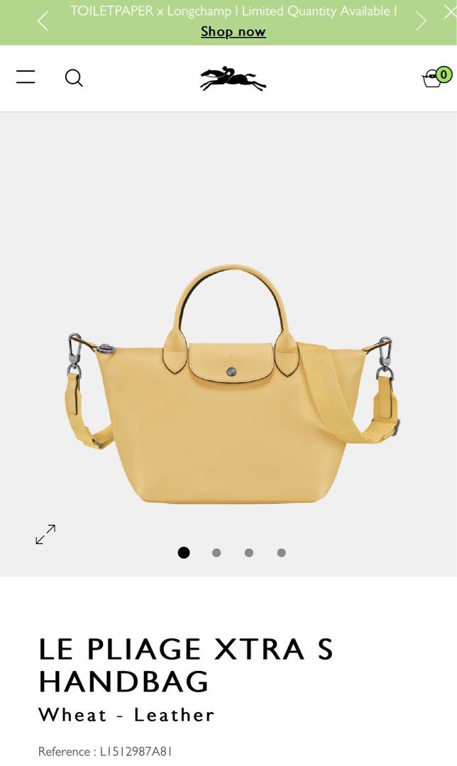 Brand new long champ small bag