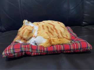 (Category: ) located in . Submitted by floppacat (Listing ID 1244768778, Image 1). Description: .