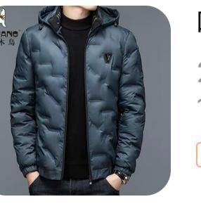 Men s Down Jacket Men s Fashion Coats Jackets and Outerwear on