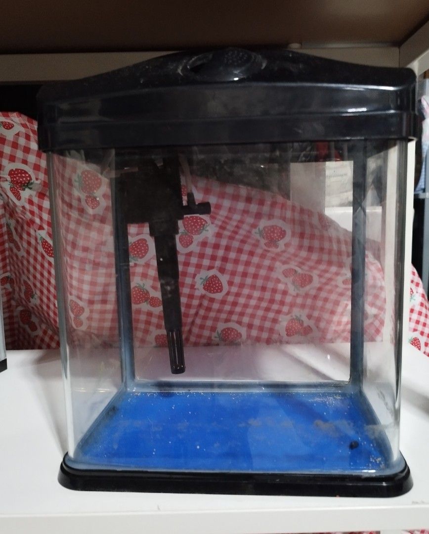 Fish Tanks, Pet Supplies, Homes & Other Pet Accessories on Carousell