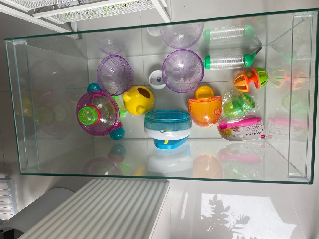 Hamster store glass condo