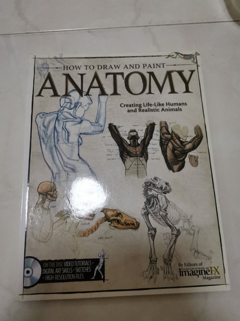 How to draw and paint anatomy, realistic humans and animals drawing guide, Hobbies & Toys