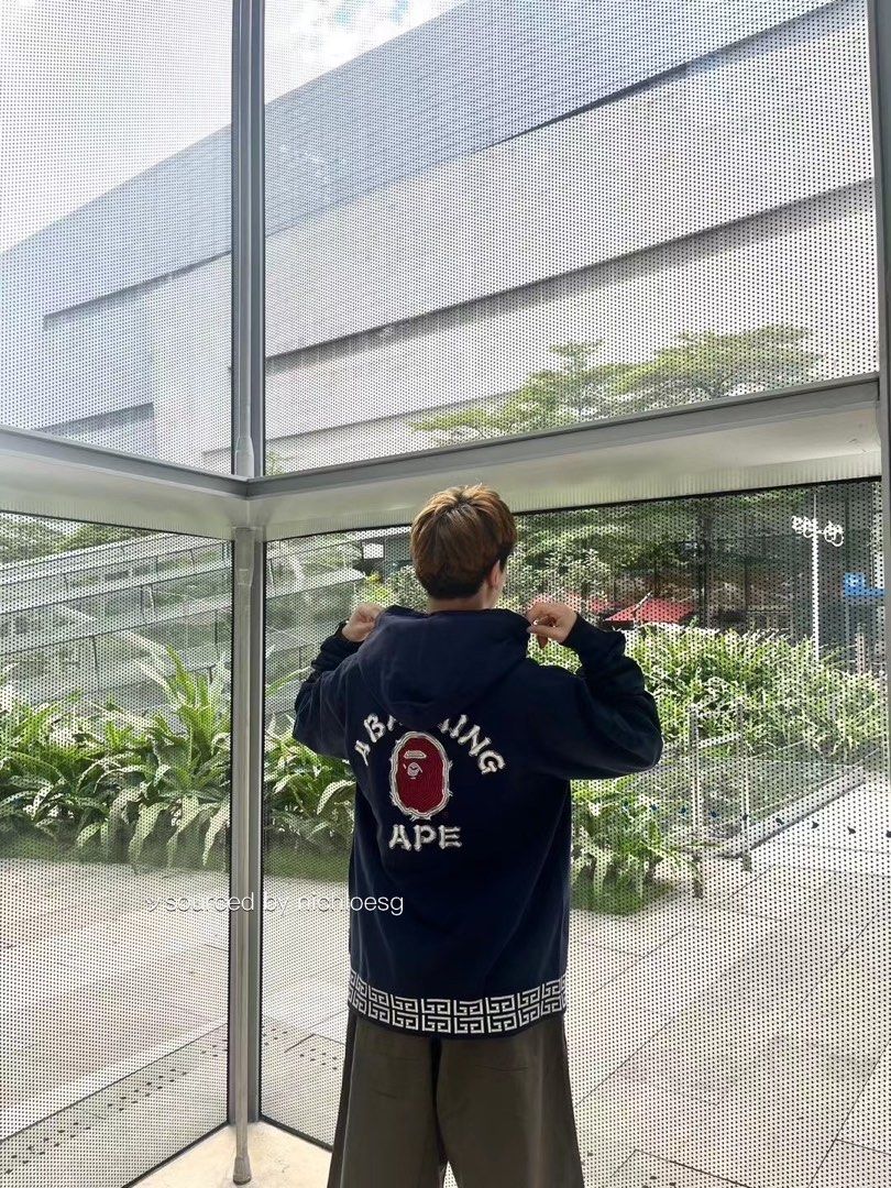 BAPE BRUSH COLLEGE PULLOVER HOODIE