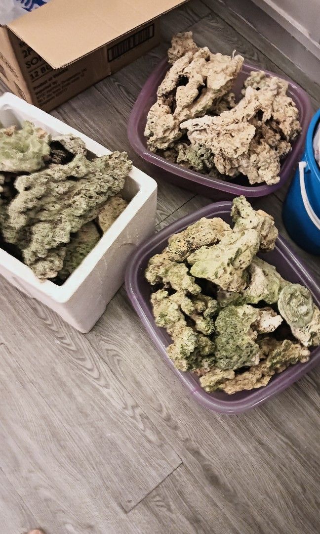 Marine aquarium rocks, Pet Supplies, Homes & Other Pet Accessories on