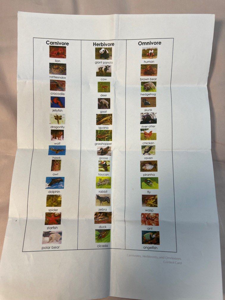 Classification Card Color Montessori laminated classification cards, Everything Else on Carousell