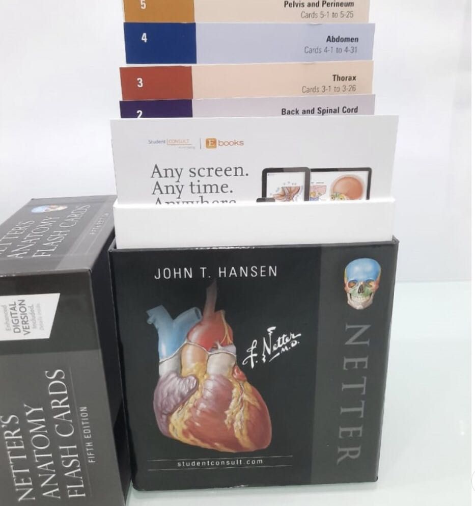 Netter S Anatomy Flash Cards Review By Kenhub Study A vrogue.co