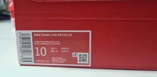 Nike Dunk Low Retro SE
