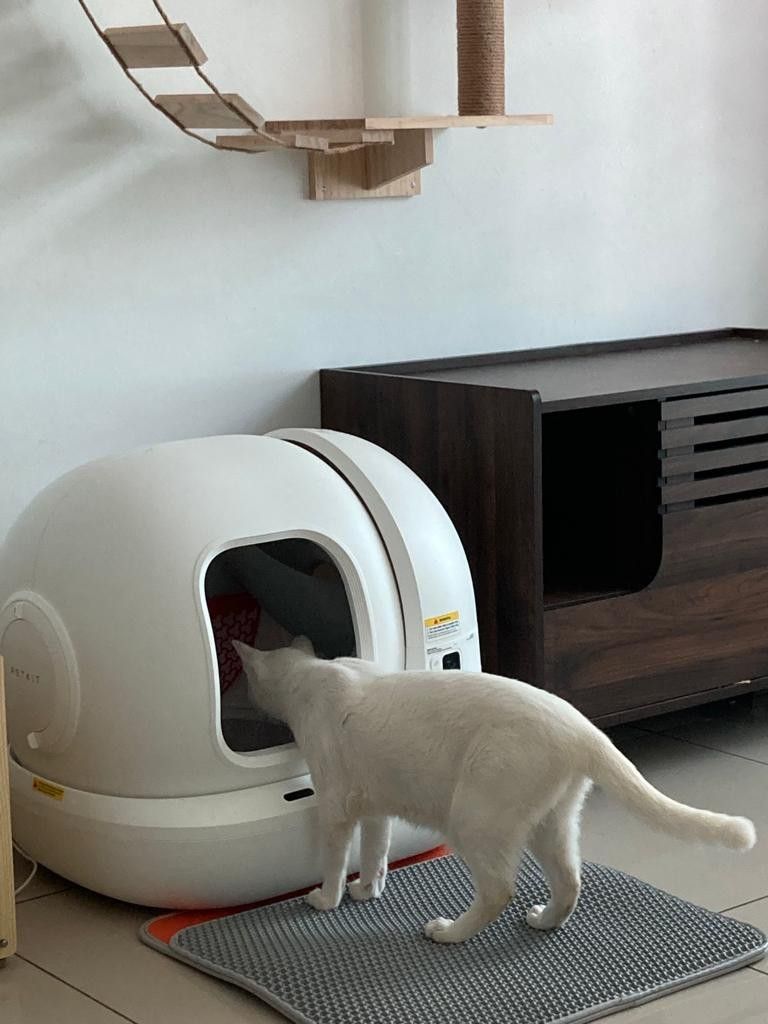 Petkit Pura MAX Automatic Cat Litter Box Pet Supplies Homes