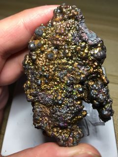 (Category: ) located in . Submitted by rickchoo123 (Listing ID 1244823993, Image 1). Description: .