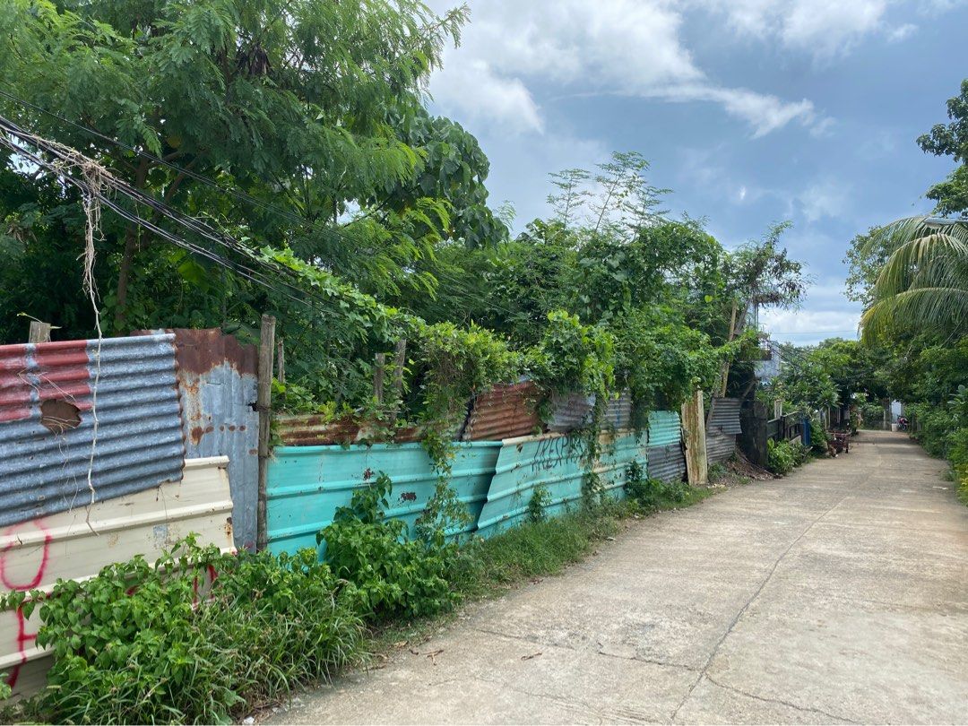 900 sqm Lot For Sale in BORACAY!!! on Carousell