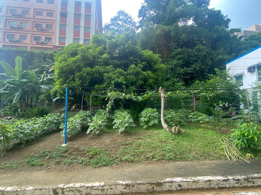 Blue Mountains Antipolo, Property, For Sale, Lot on Carousell