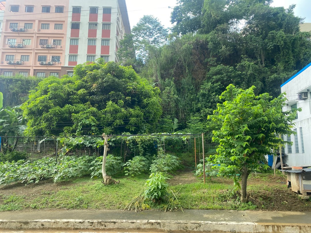 Blue Mountains Antipolo, Property, For Sale, Lot on Carousell