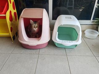 (Category: ) located in . Submitted by izzati_t (Listing ID 1244876513, Image 1). Description: .