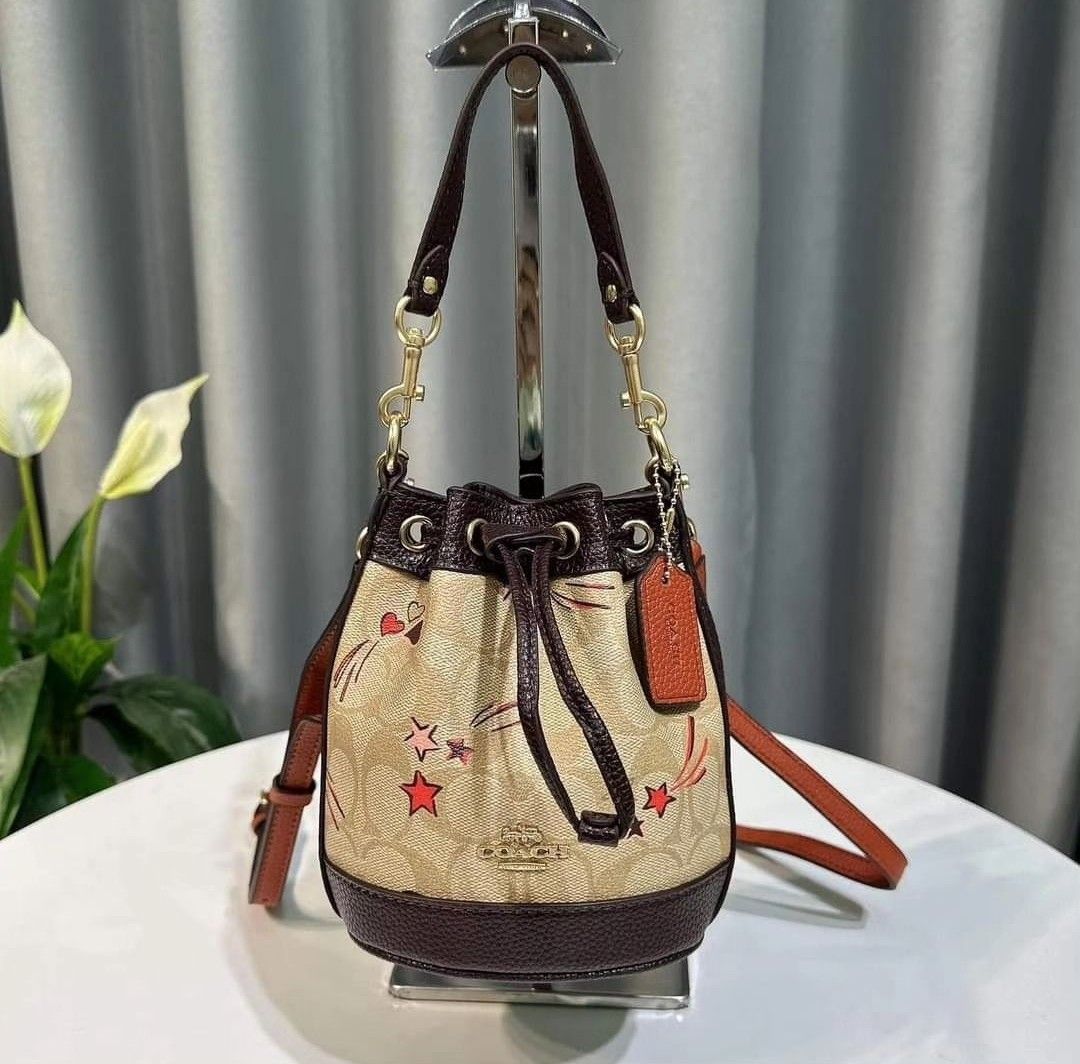 LV mini BUCKET BAG, Luxury, Bags & Wallets on Carousell