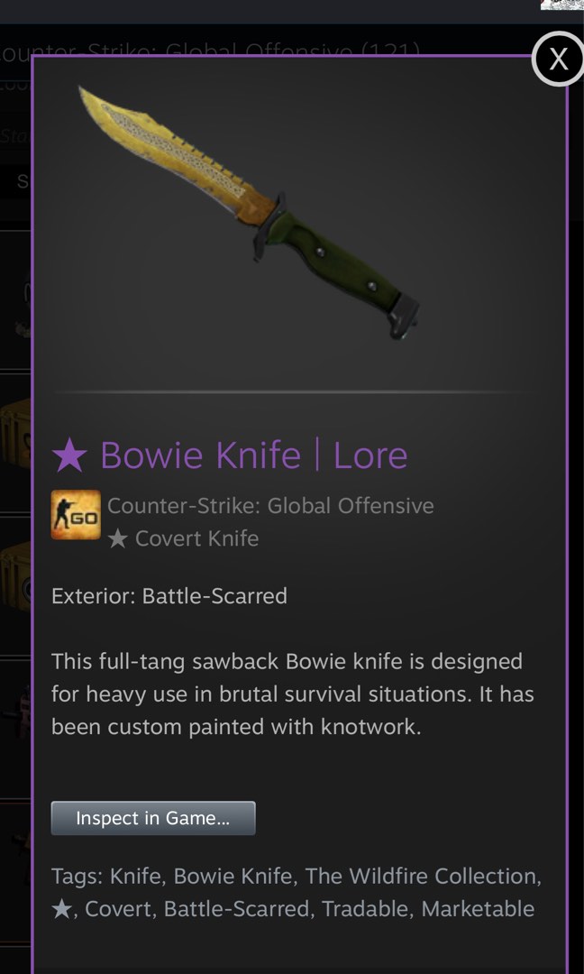 CSGO BOWIE KNIFE lore (BS) but clean float, Video Gaming, Gaming