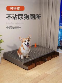 (Category: ) located in . Submitted by mycorgifund (Listing ID 1245037852, Image 1). Description: .