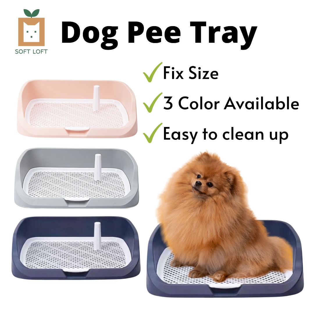Dog Pee Tray Dog Toilet Pee Tray Double Layer Large And Small High