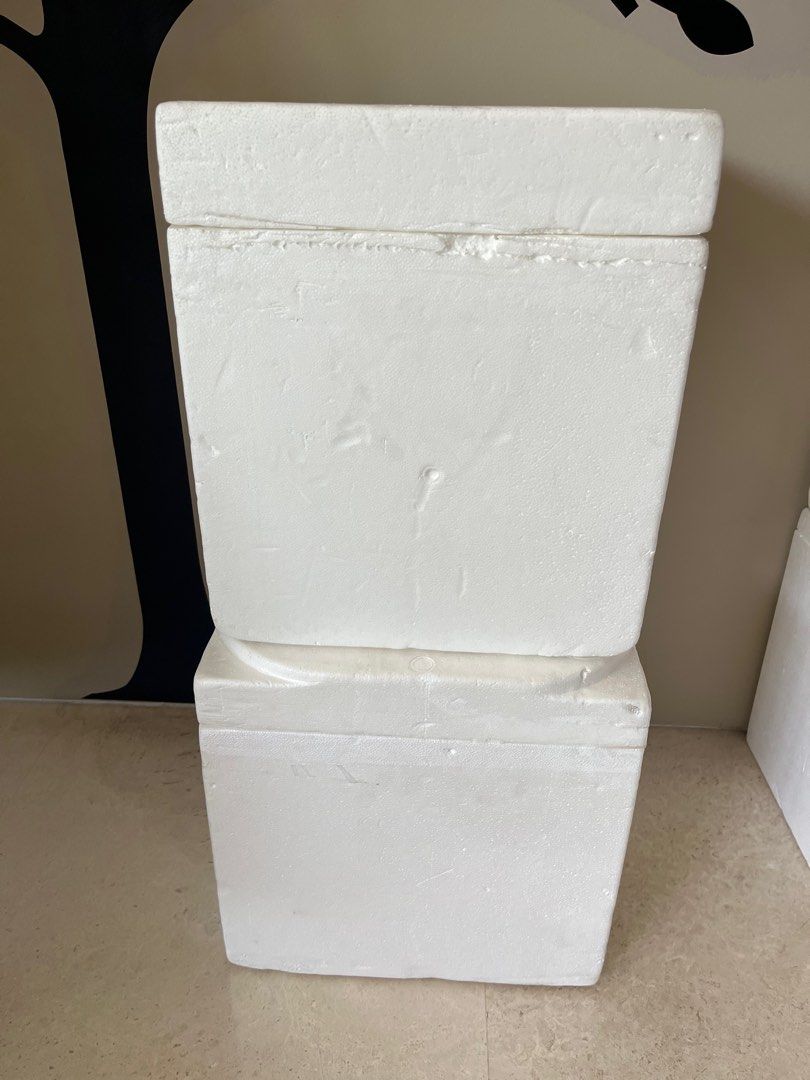 Thick Walled Styrofoam boxes for Dry Ice, Furniture & Home Living