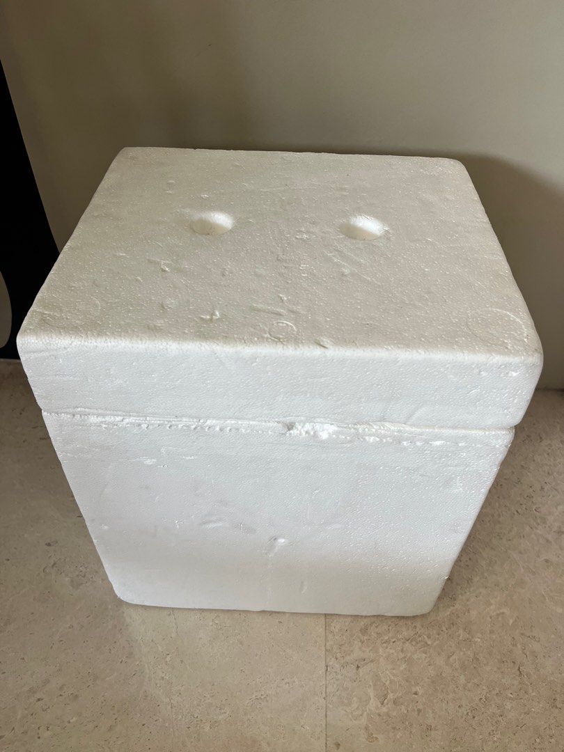 Thick Walled Styrofoam boxes for Dry Ice, Furniture & Home Living