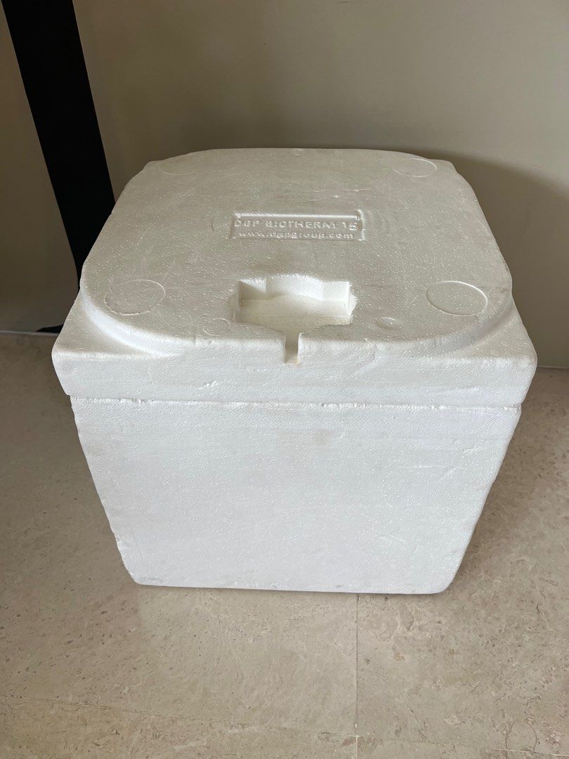 Thick Walled Styrofoam boxes for Dry Ice, Furniture & Home Living