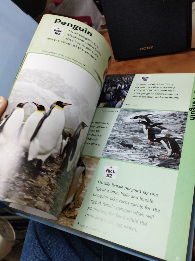 (ENG) Playhouse Disney Encyclopedia, Hobbies & Toys, Books & Magazines