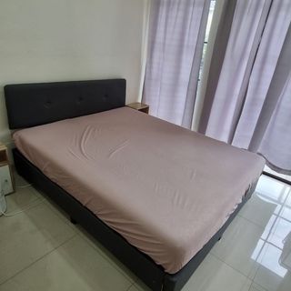 Kasur Latex Simply Original Bed 160 x 200
