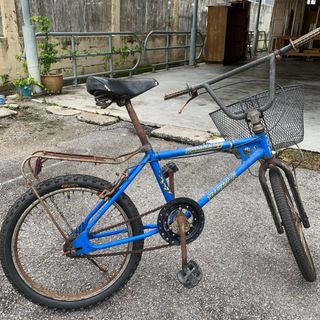 Raleigh burner for sale 2025