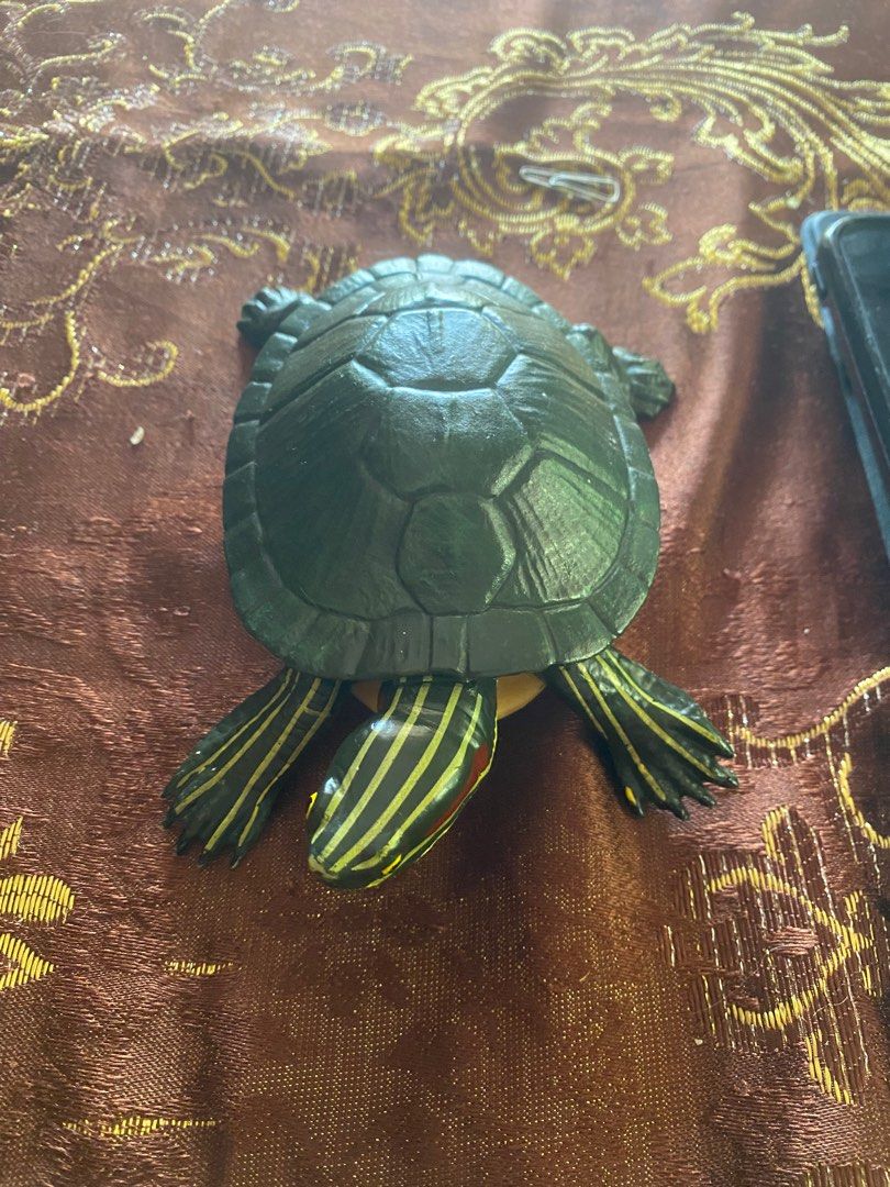 Turtle model (Category: Toys & Games) located in Kuala Terengganu. Submitted by wafiqb (Listing ID 1244946364, Image 1). Description: .
