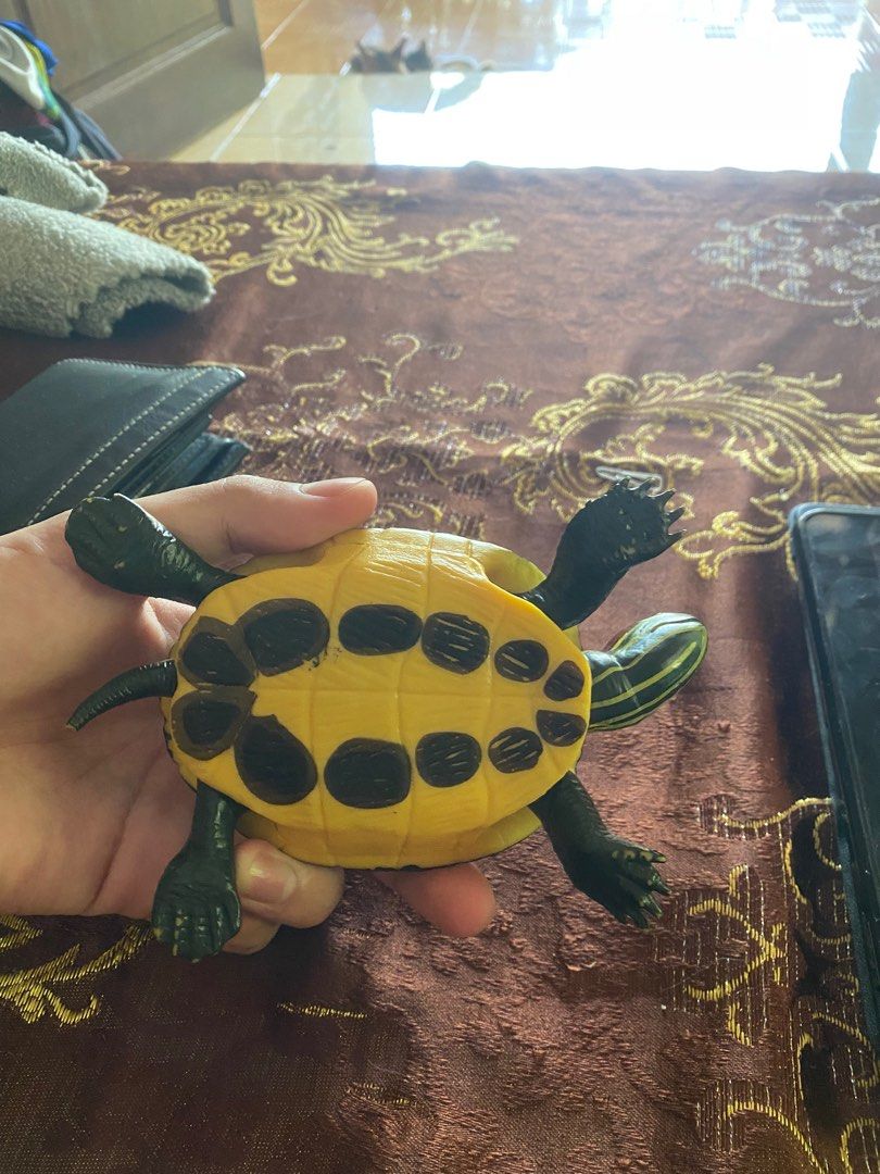 Turtle model (Category: Toys & Games) located in Kuala Terengganu. Submitted by wafiqb (Listing ID 1244946364, Image 3). Description: .