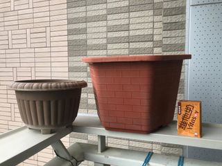（分類：）位於 。 由 vans4ng 提交（商品編號 1245231161，圖片 1）。簡介： 。