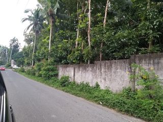 5,000 sqm Fully Fenced Lot For Rent Lease in Sto. Nino, Lipa City, Batangas