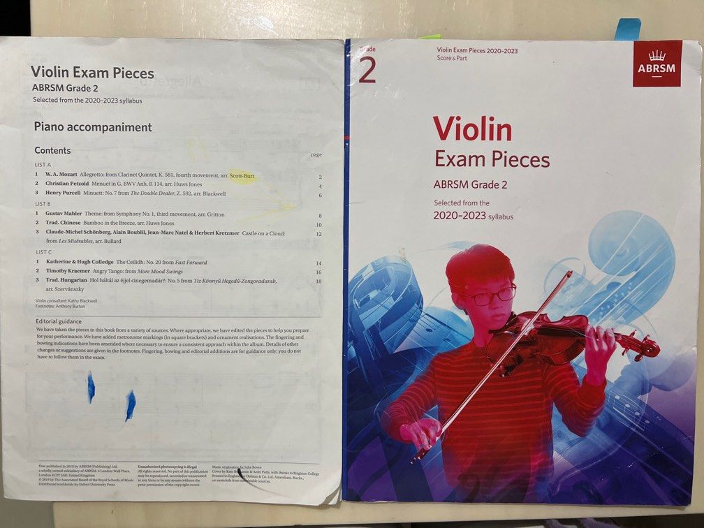 Bamboo in shop the breeze violin