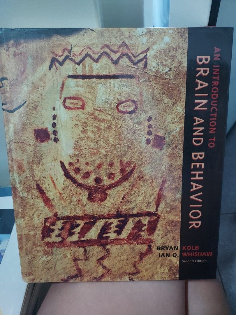 An Introduction to Brain and Behaviour, Hobbies & Toys, Books ...