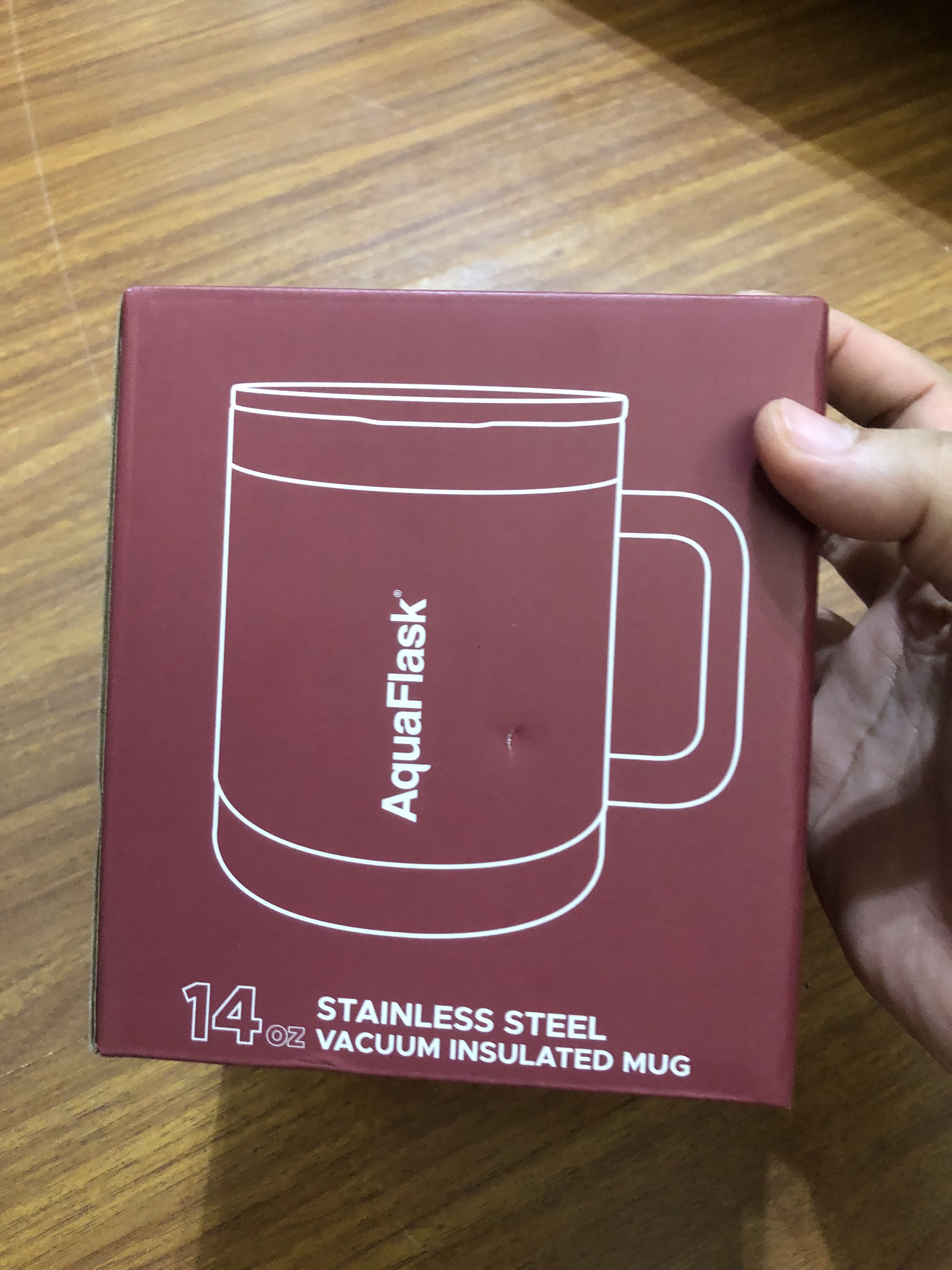 Aqua Insulated Mug