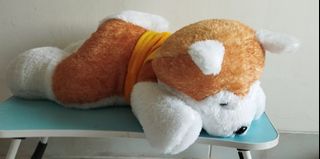 (Kategori: ) berada di . Dikirim oleh khususpreloved (ID iklan 1245055697, Gambar 1). Deskripsi: .